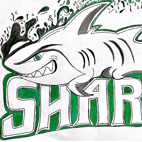(B) Winner Sharks