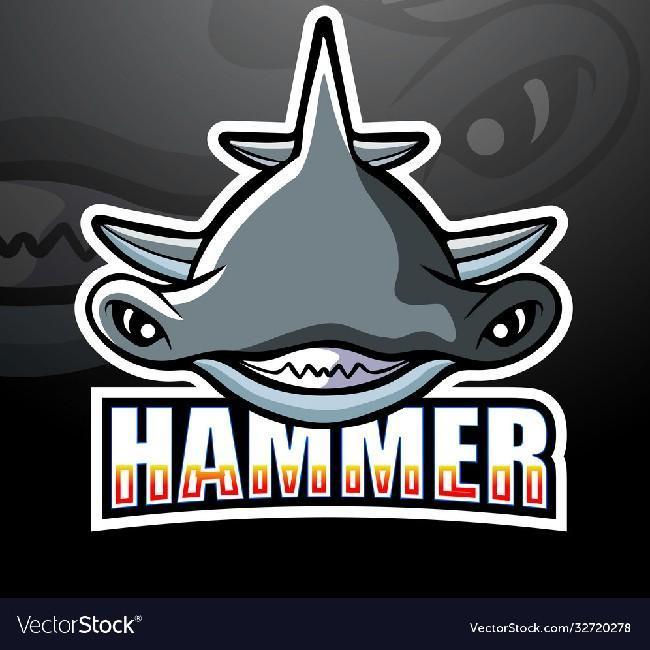 (B) Hammer Sharks