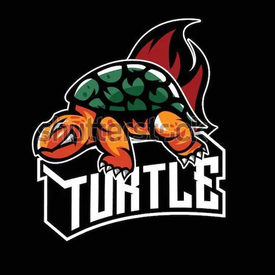 (R) The Sea Turtles