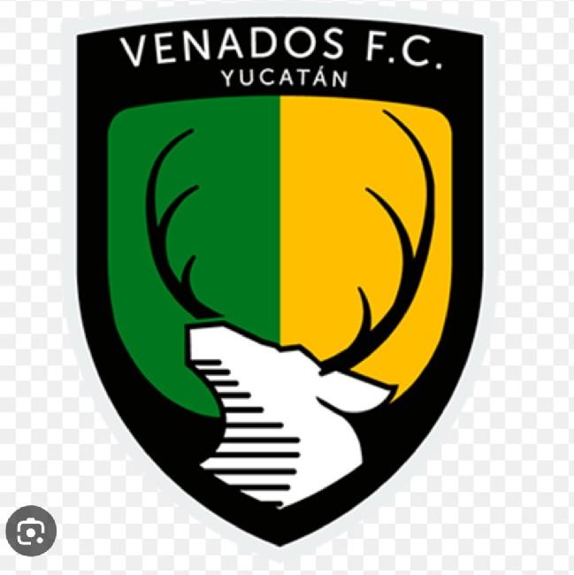 Venados FC
