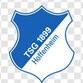 TSG 1899 Hoffenheim