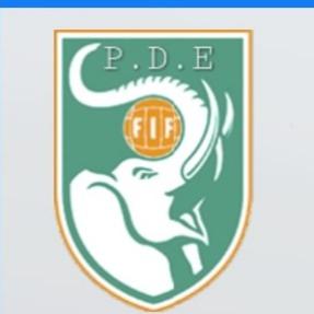 Piel de Elefante