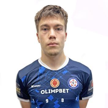 Николай Ермолаев