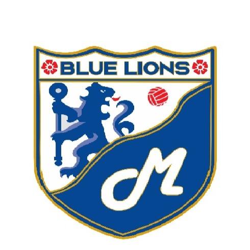 BLUE TEAM