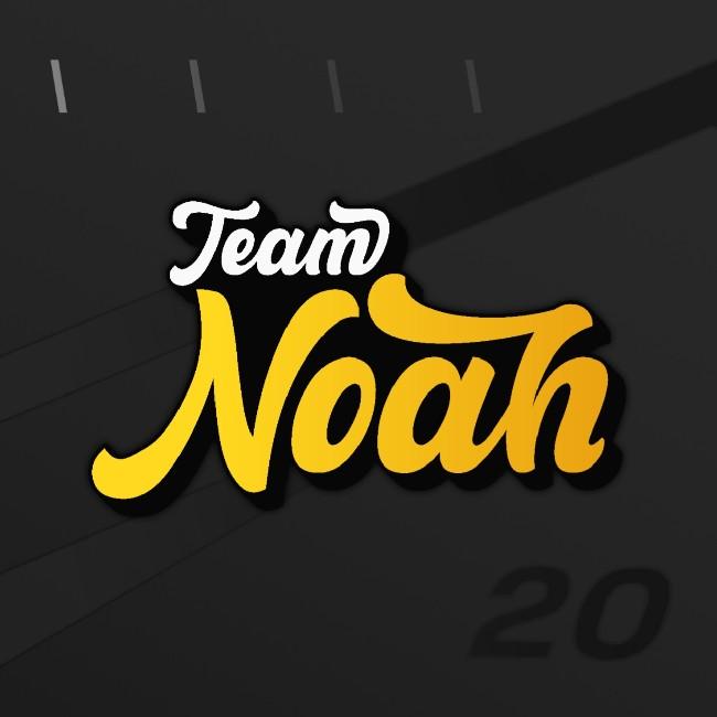 TEAM NOAH