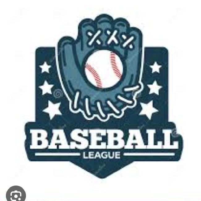 LVBM LIGA VENEZOLANA DE BEISBOL MAYOR