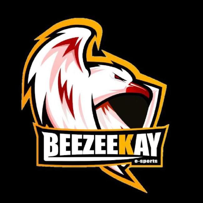 Beezeekay eSports