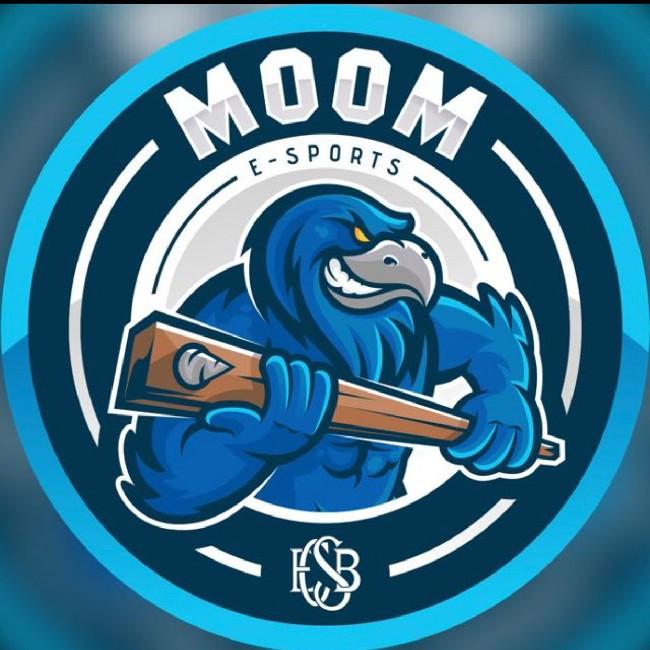 MooM eSports