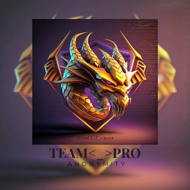 Team Moba Pro