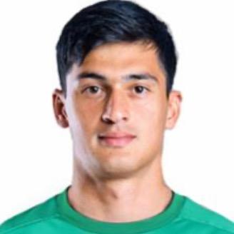 Виталий Гудиев