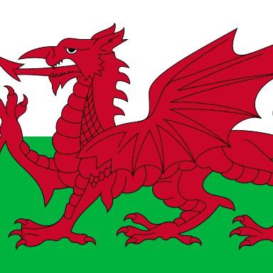 Wales 🏴󠁧󠁢󠁷󠁬󠁳󠁿