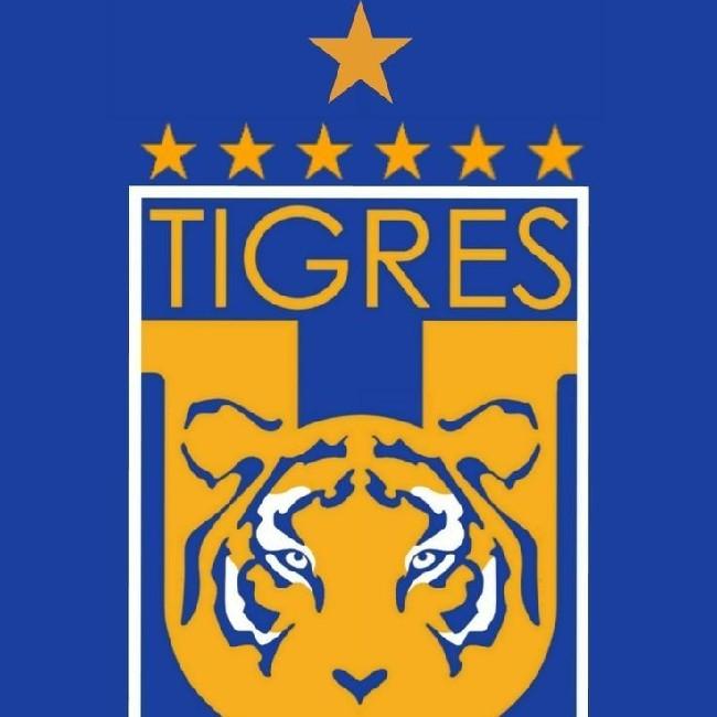 Tigres/México 🇲🇽
