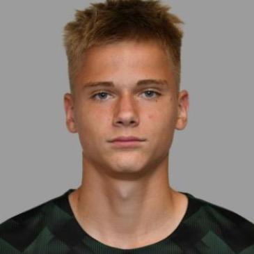 Александр Кокшаров