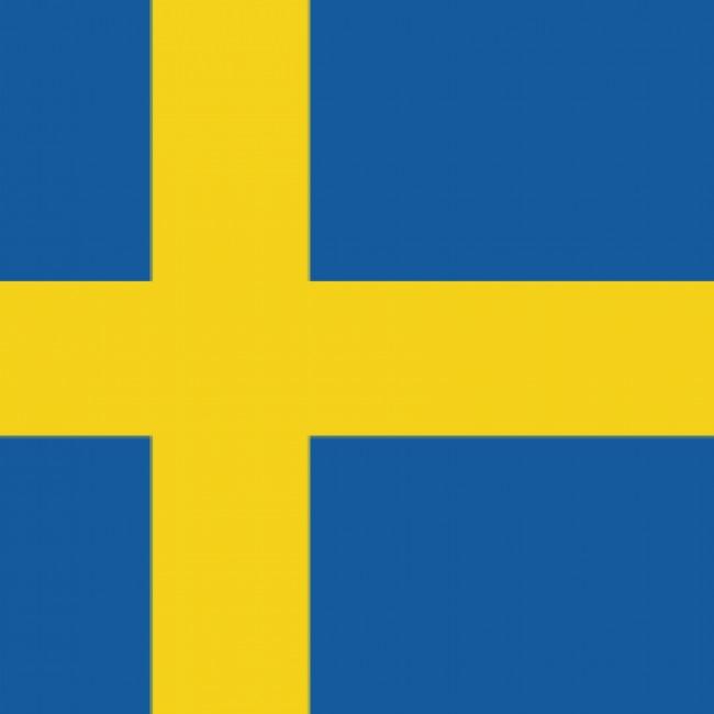 🟡 Lars Svensson
