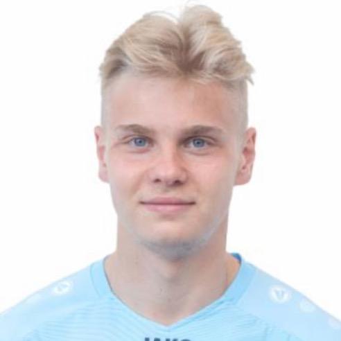 Виктор Александров