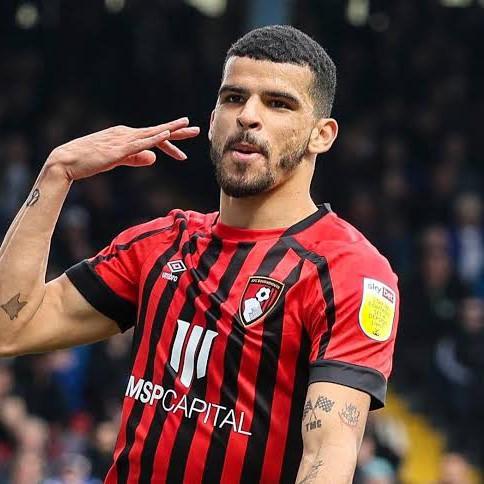 D.Solanke