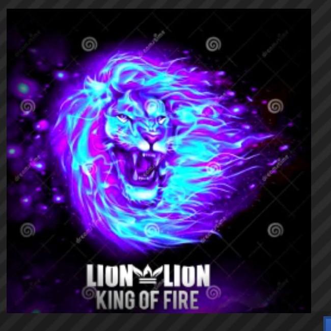 Lion FC