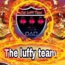 Luffy Team