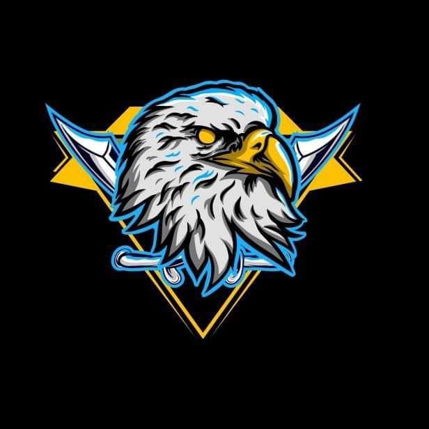 Eagles team