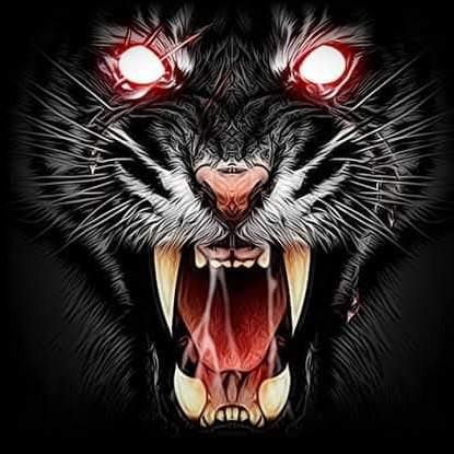 Black Tiger