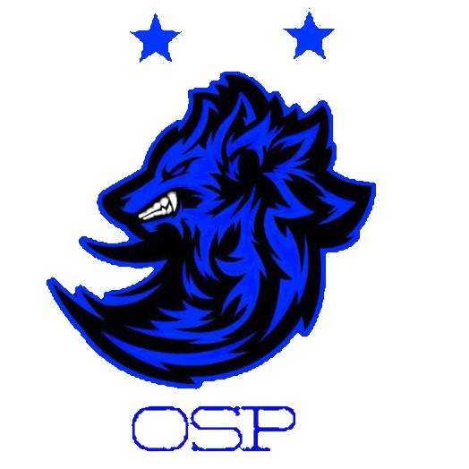 OPS ACADEMY