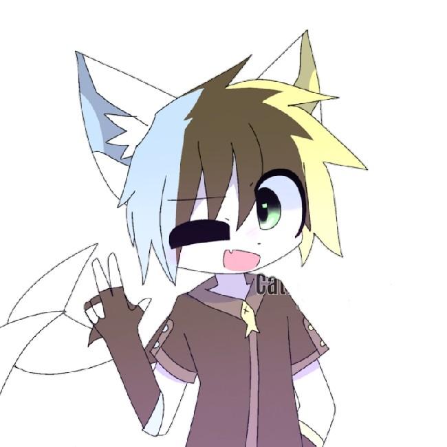 Wolfysh