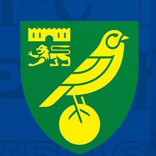 Norwich city