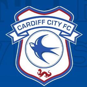 Cardiff city