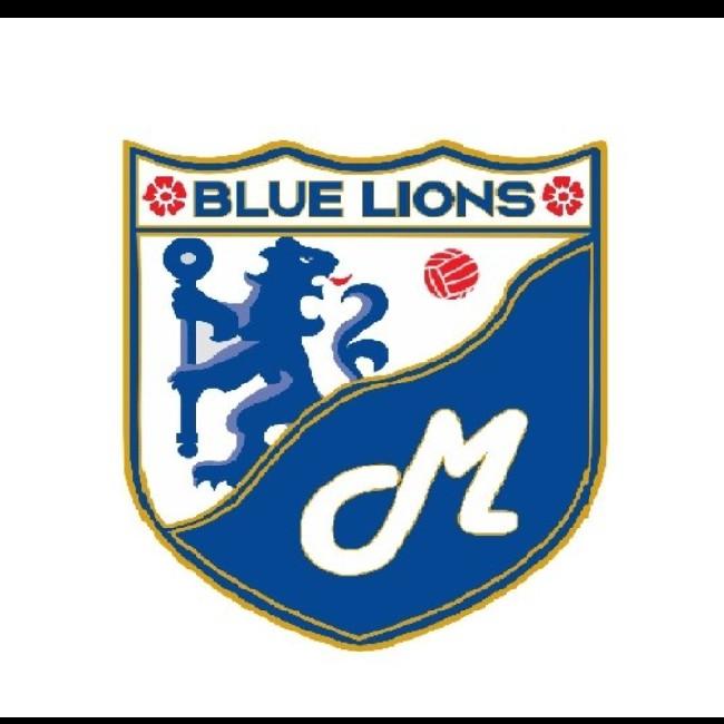 Blue Team