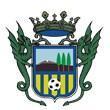 AD Juventud Los Pinos FS
