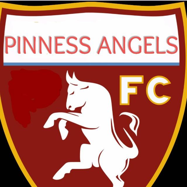 PINNESS ANGELS FC