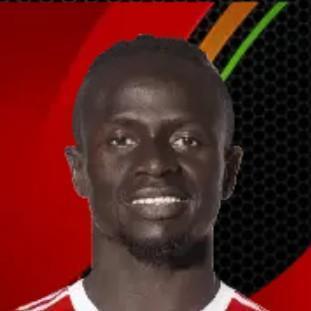 Mane