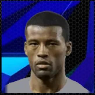 Wijnaldum