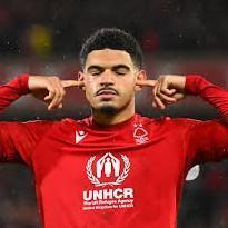 Gibbs-White