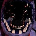 Whithered Bonnie