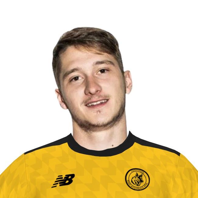 Нико Деник