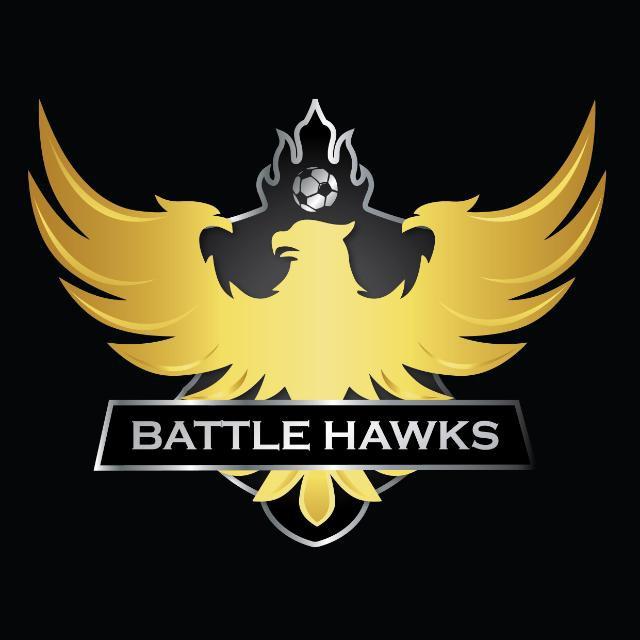 BATTLE HAWKS