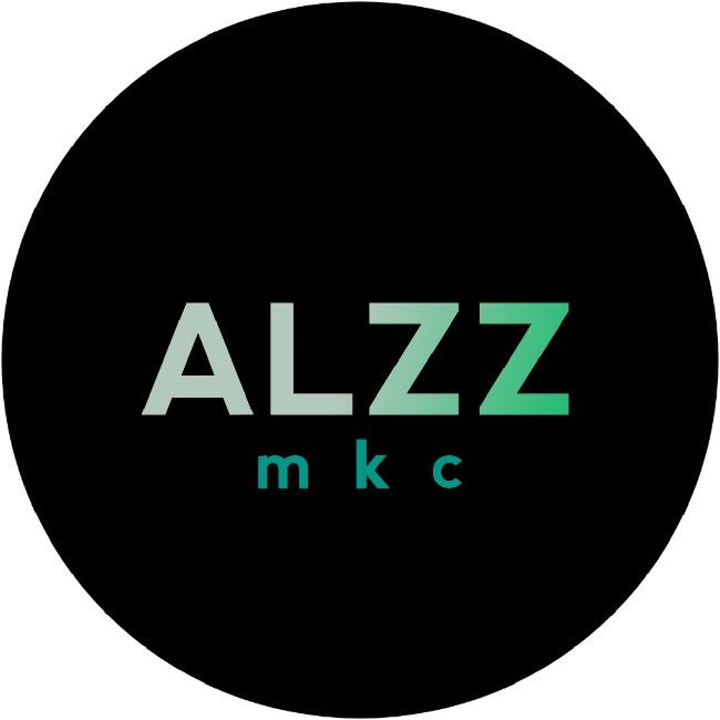 ALZZ TEAM