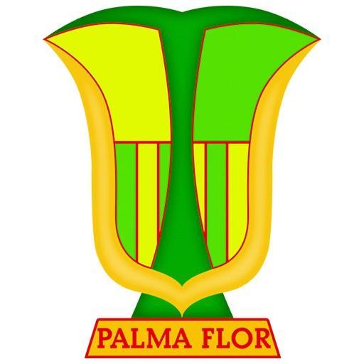 Atlético Palmaflor