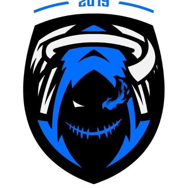 THE SHIELD