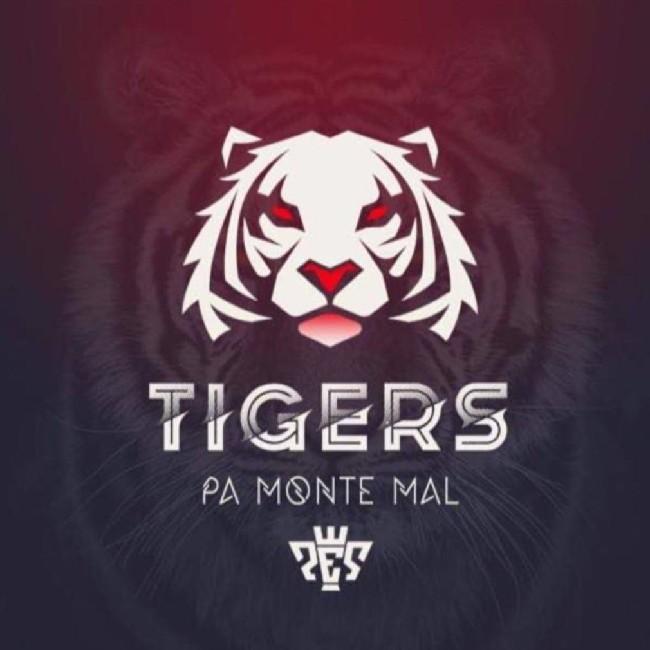 TIGERS