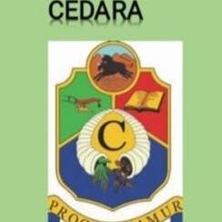 CEDARA FC