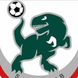 Dinos F.C