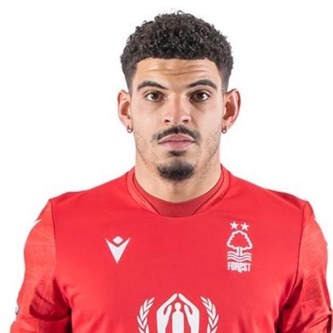 Gibbs-white