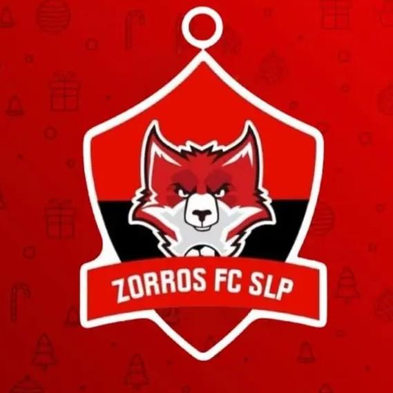 Zorros del sur