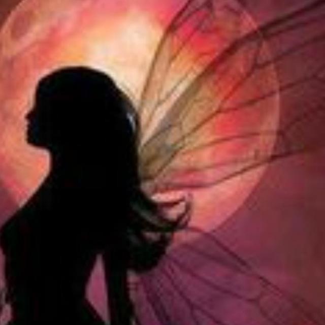 🧚🏻‍♂️ Fadinhos da Sammy (FDS)