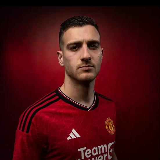 D. Dalot
