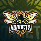 Hornets