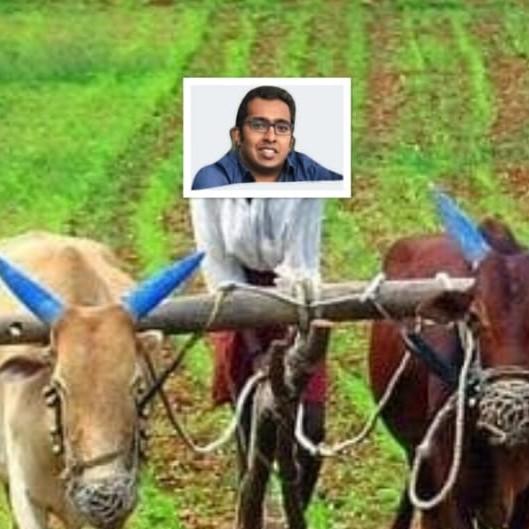 Draft League 1 - H2H Cup - 2023/24