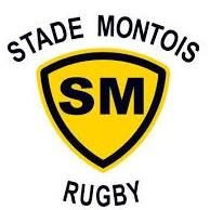 Stade Montois Rugby
